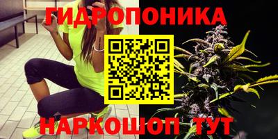 2c-b Моздок