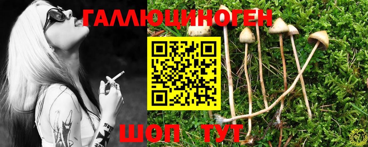 Домодедово  Псилоцибиновые грибы Psilocybine cubensis  Вход с VPN  Галлюциногенные грибы Magic Shrooms 